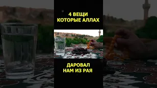 4 ВЕЩИ КОТОРЫЕ АЛЛАХ ДАРОВАЛ НАМ ИЗ РАЯ! #shorts