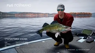 Fishing Sim World ТРОЛЛИНГ! РАЗНЫЕ ПРИМАНКИ!