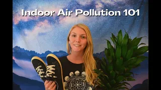 Indoor Air Pollution 101: Causes, Effects & 10 Solutions