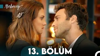 Ateşböceği 13. Bölüm (FULL HD)