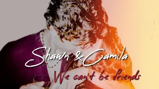 Shawn & Camila - We can't be friends (Tradução/legendado)