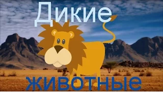 Дикие животные. Развивающий мультфильм для детей.