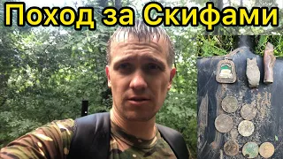 Коп по Скифам в старом лесу. Бердянское лесничество.