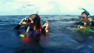 Open Water (2004) Official Trailer