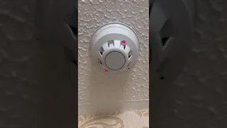 Apollo Smoke Detector Test