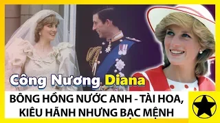 Công Nương Diana - Bông Hồng Nước Anh, Tài Hoa Kiêu Hãnh Nhưng Bạc Mệnh