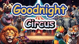 Goodnight Circus 🤡🎪 Bedtime Stories for Toddlers | The Amazing Digital Circus