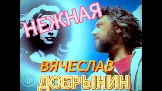 Вячеслав Добрынин- "Нежная"  2023 [4K 60fps]