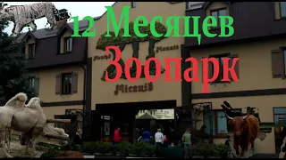 12 Месяцев Зоопарк 2021 осень. Первая часть: Белый тигр, красный волк, пони...!