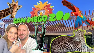 Things to do at the SAN DIEGO ZOO