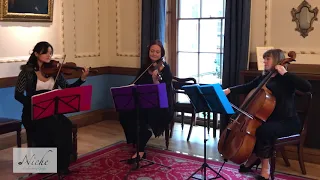 A Thousand Years - Christina Perri - Niche London String Trio