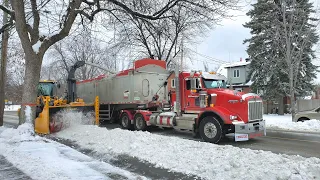 First Snow Removal in Montreal Canada Winter! #snowremoval #snow #montrealsnowremoval