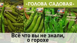 Голова садовая - Всё что вы не знали, о горохе