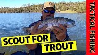 How To Prospect For Trout & Build A Pattern