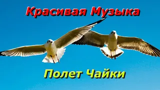 Расслабляющая музыка для отдыха! Полет Чайки