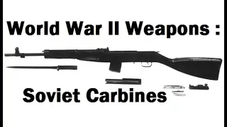 WW2 Weapons :  Russian Carbines of World War II