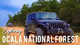 Exploring Ocala National Forest Trails - Florida Overland Adventure - Jeep JK Rubicon Recon