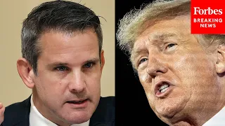 ‘A Stain On Our History’: Kinzinger Harshly Castigates Donald Trump