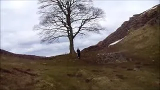 Sycamore Gap, Hadrians Wall