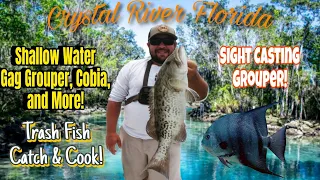 Crystal River Florida! Shallow Water Gag Grouper, Cobia and More! Trash Fish Catch & Cook!