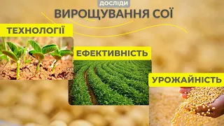 Норми висіву, способи сівби та ширина міжрядь на сої - отриманими результатами ділюся