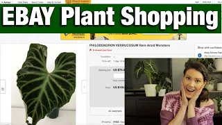 EBAY Plant Shopping - Buying All The Hoyas - Quarantine Online Plant Shopping