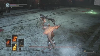 Dark Souls 3 Soul Level 1 Ashes of Ariandel Blind Part 5