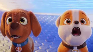 Baha Men - Who Let The Dogs Out (Damitrex Remix)  Paw Patrol (Music Video HD)