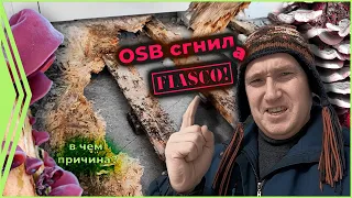 Прогнил пол , плесень на ОСП. В чем причина?..