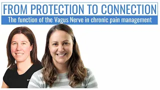 How the Vagus Nerve Influences Pain