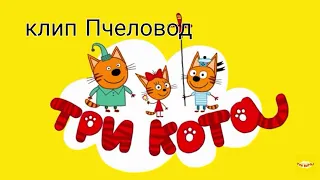 Клип Три кота. Пчеловод. Rasa.