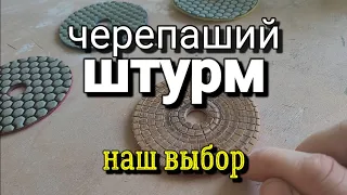 Черепаха и платформа для неё. Что выбрать?