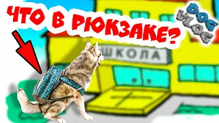 DOGVLOG: ХАСКИ ИДЕТ В ШКОЛУ! ЧТО В МОЕМ РЮКЗАКЕ? Говорящая собака