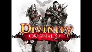 Divinity Original Sin Enhanced Edition Review - Good BUT