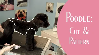 Poodle: Cut & Pattern