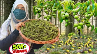Doon Murr Recipe Bilkul Purane Zamane Ki Hum Bhool Gaye | Walnut Tree Flower Recipe