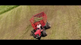 Heuernte im extremen Steilhang     Hay harvest on an extreme steep slope