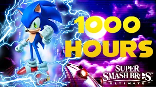 What 1,000 Hours of Sonic Playtime Looks Like | SonicSurge Studios