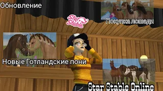 Обновление/Покупка лошади/Новые Готланские пони/Star Stable Online