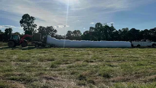 Wrapping Dry Rye Bales