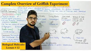 Griffith experiment or Transforming Principle | Transformation |