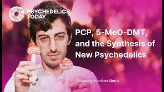 PT268 – Hamilton Morris – PCP, 5 MeO DMT, and The Synthesis of New Psychedelics