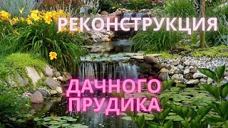 Реконструкция дачного прудика