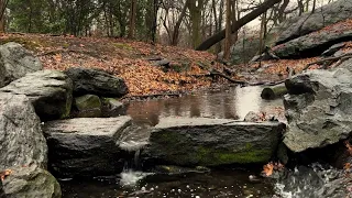 You’ll Relax Quickly With Tiny Waterfall Sounds in the Rain for Sleep, Study and Meditation.