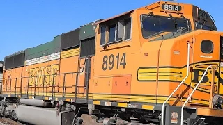 NS Mixed Freight Train With BNSF EMD Power