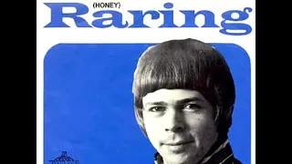 Björn Ulvaeus (ABBA) : Raring (1968) Honey  -  Subtitles