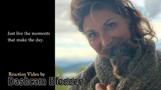Sissel - Winter Morning reaction video Dashcam Blogger