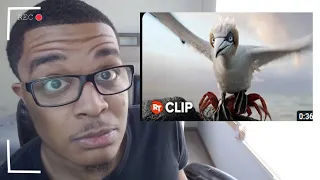 The Little Mermaid Movie Clip - You Listen to Me Bird REACTION!