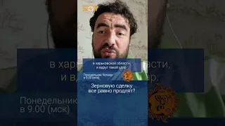 Зерновую сделку все равно продлят