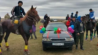 🇰🇿 13.02.2022ж Ордабасы ауданы, Бірлік ауылында өткен көкпардың өгіз өлді салымы. 🚘